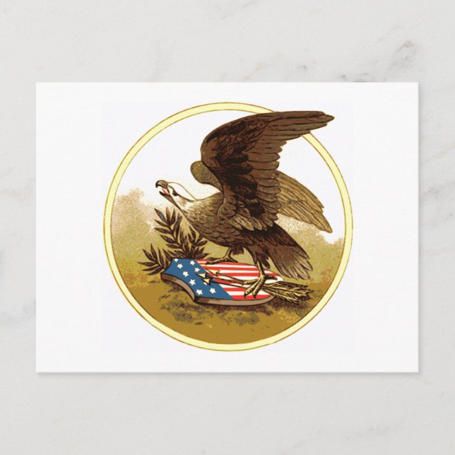 Vintage amerikanische Adlerkarte Postkarte (Vorderseite)
