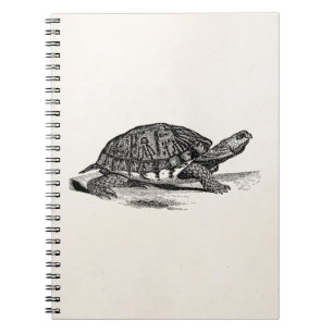 Vintage amerikanische Kasten-Schildkröte - Notizblock