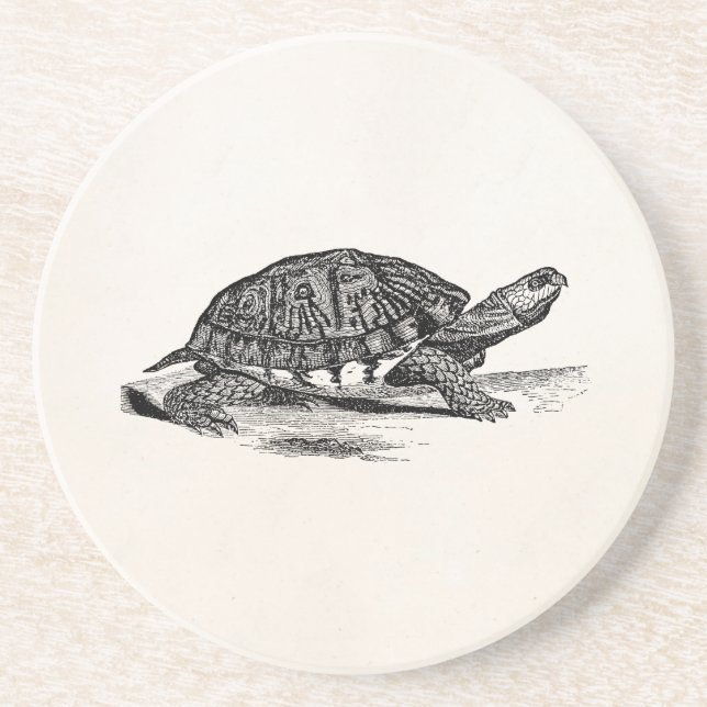 Vintage amerikanische Kasten-Schildkröte - Sandstein Untersetzer (Vorne)