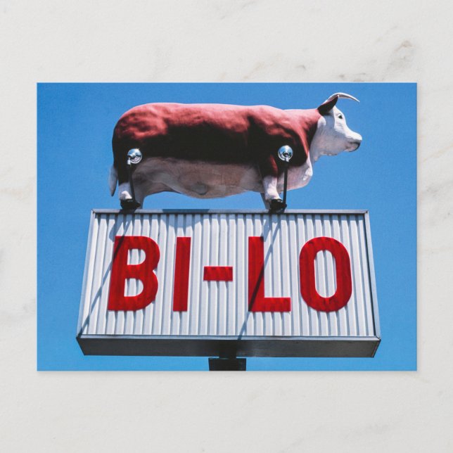 Vintage amerikanische Landschaft Postkarte (Vorderseite)