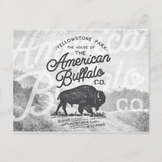 Vintage Amerikanischer Büffel Montana Reise Postkarte