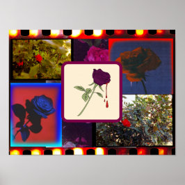 Vintage Analog Film Rose Collage Poster