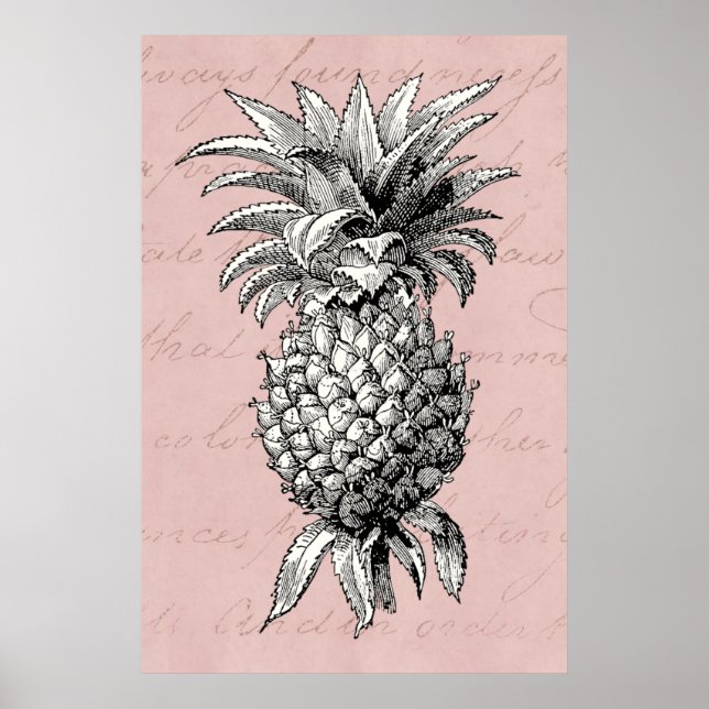 Vintage Ananas-Illustration 1800 Pink Poster (Vorne)