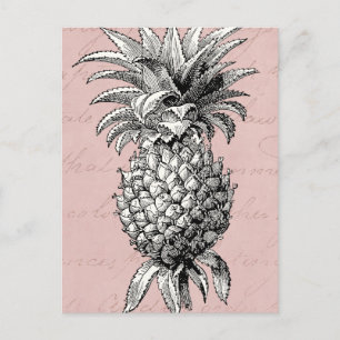 Vintage Ananas-Illustration 1800 Pink Postkarte
