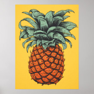 Vintage Ananas Poster
