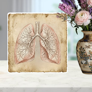 Vintage Anatomical Lungs Illustration Sketch Fliese