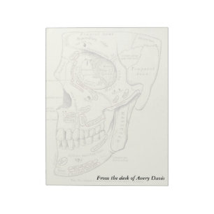 Vintage Anatomie Anterolateral Region des Schädel Notizblock