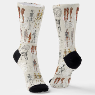 Vintage Anatomie Biologie Illustrationen Socken