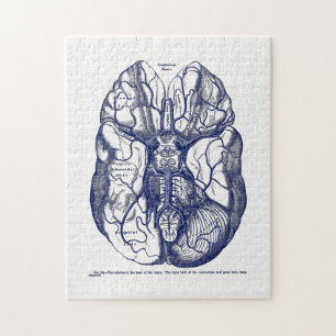 Vintage Anatomie der menschlichen Brain Navy