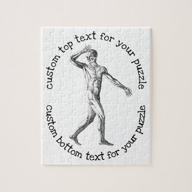 Vintage Anatomie des Menschen im Sonnenschein beim (Vertikal)