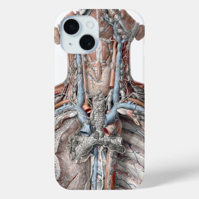 Vintage Anatomie des Menschen iPhone 15 Hülle (Rückseite)