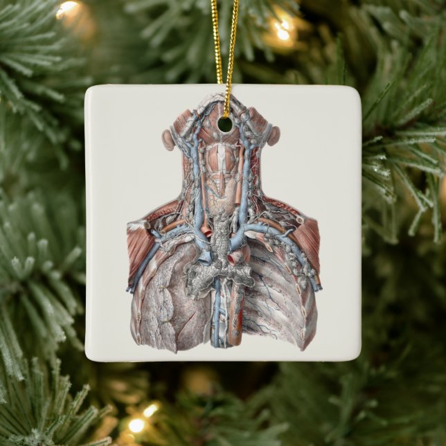 Vintage Anatomie des Menschen Keramikornament (Baum)