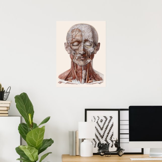 Vintage Anatomie des Menschen, Kopf-Throat-Nase Poster (Heimbüro)