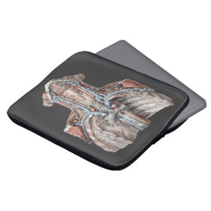 Vintage Anatomie des Menschen Throat, Neck, Brust, Laptopschutzhülle