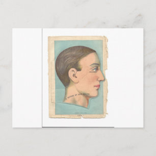 Vintage Anatomie Foto Kopf Postkarte