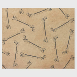 Vintage Anatomie  Geschenkpapier