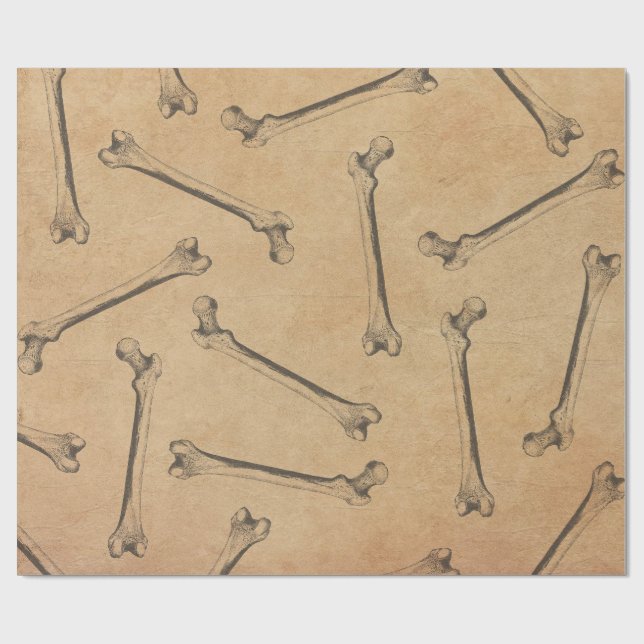 Vintage Anatomie  Geschenkpapier (Flach)