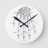 Vintage Anatomie | Handknochen