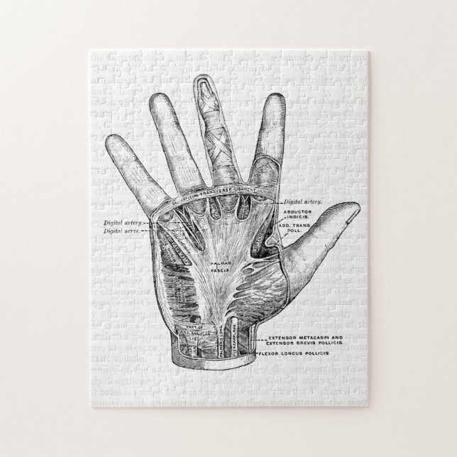 Vintage Anatomie-Kunst die Palme der Hand (Vertikal)