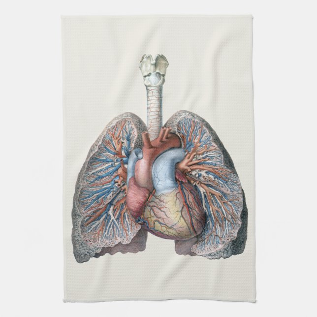 Vintage Anatomie Lunge Herzorgane Blut Geschirrtuch (Vertikal)