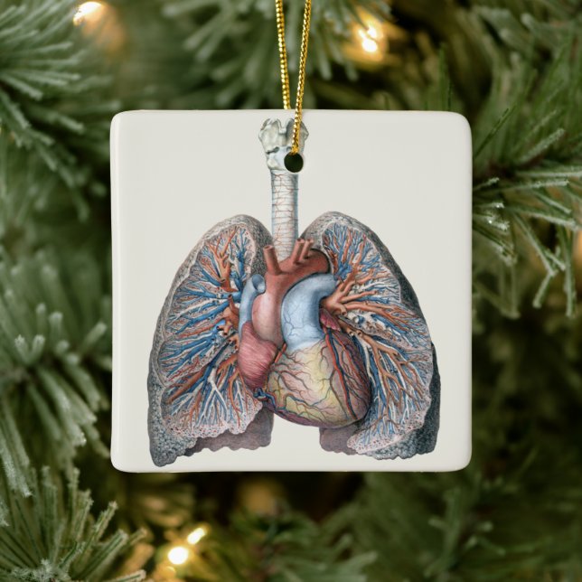 Vintage Anatomie Lunge Herzorgane Blut Keramikornament (Baum)