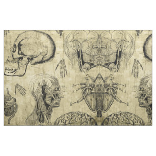 Vintage Anatomie Stoff