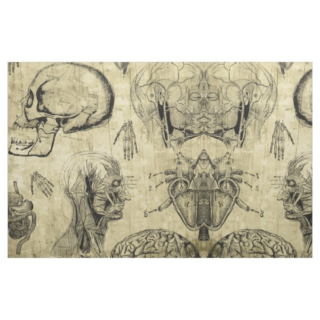 Vintage Anatomie Stoff (Fat Quarter (45,7 x 55,9 cm))