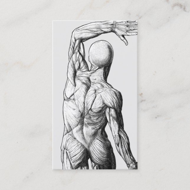 Vintage Anatomie Zurück Chiropraktische Chiroprakt Visitenkarte (Vorderseite)