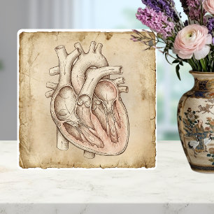 Vintage Anatomische Herz-Tinte-Zeichnung Sepia Fliese