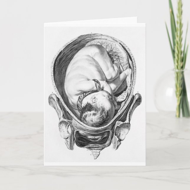 Vintage anatomische Kinderfetuskarte Karte (Vorderseite)