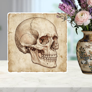 Vintage anatomische Schädel-Tuschezeichnung Sepia Fliese