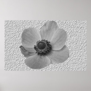 Vintage Anemone-Blume drucken Poster