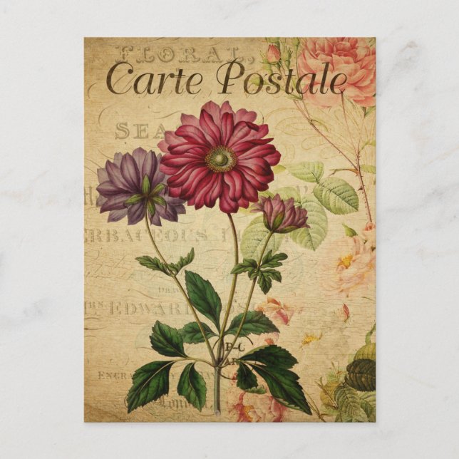 Vintage Anemone Japonica Blume Französisch Postkarte (Vorderseite)