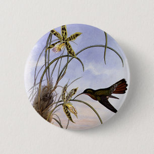 Vintage Animals, Hummingbird Bird Orchid Flowers Button