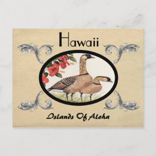Vintage-Ansicht alte Postkarte Hawaii Bundesstaat