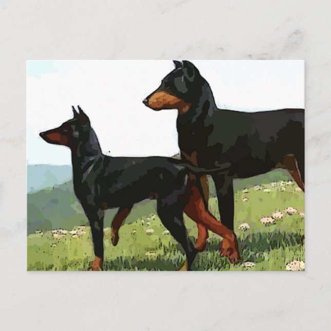 Vintage Ansichtskarte Postkarte (Vorderseite)