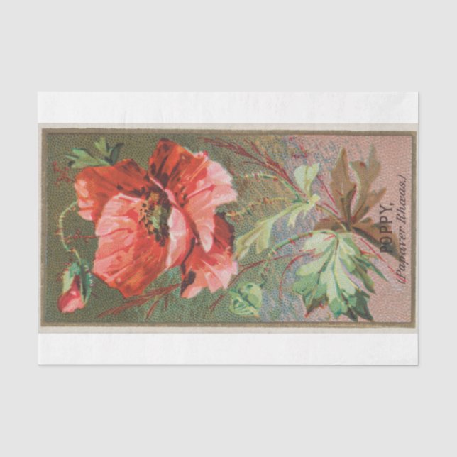 Vintage antike Blume Seidenpapier (Vorderseite)