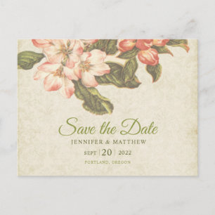Vintage Apple Blossom Hochzeit   Save the Date Postkarte