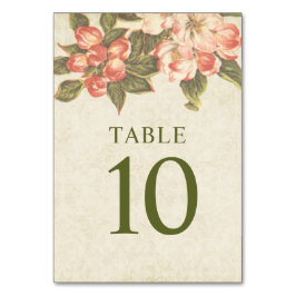 Vintage Apple-Blossom-Hochzeit Tischnummer