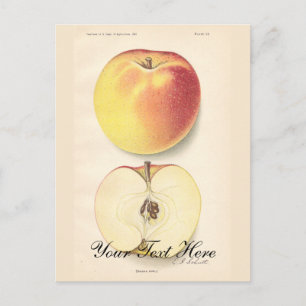 Vintage Apple Postkarte