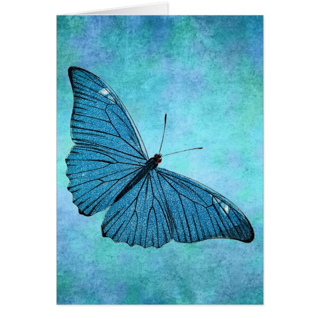 Vintage aquamarine blaue Schmetterling 1800s (Vorne)