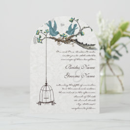 Vintage Aquamarine Vögel mit Vogelkäfig und rosa B Einladung