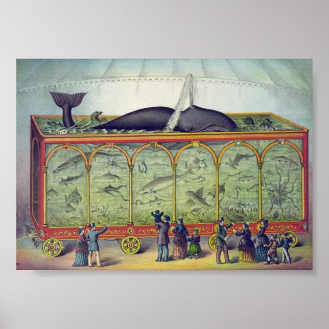 Vintage Aquarium-Werbung Poster (Vorne)