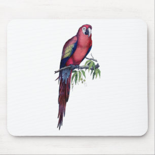 Vintage Ara Vogel Mousepad