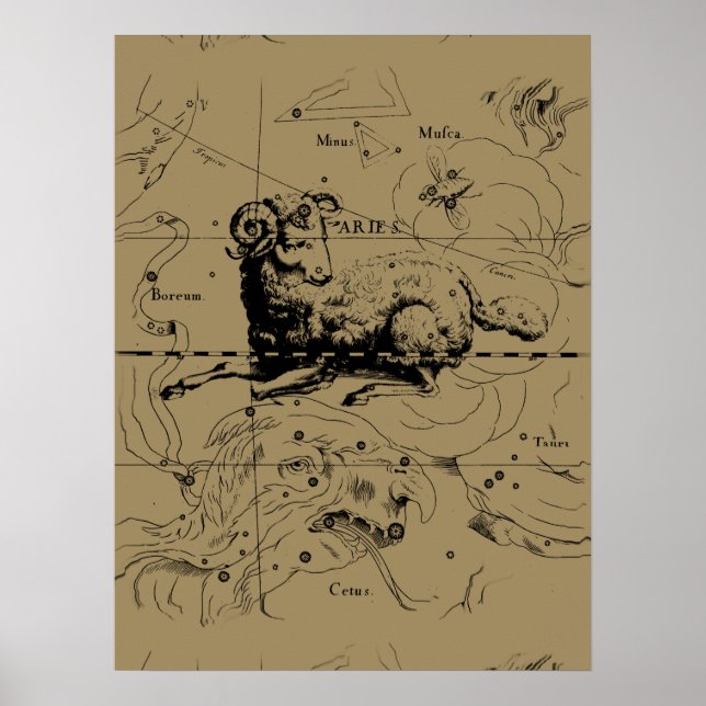 Vintage Aries Map Hevelius 1690 Poster (Vorne)