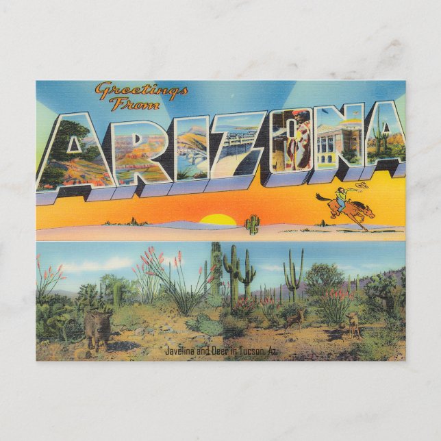 Vintage Arizona Postkartenkollektion Postkarte (Vorderseite)