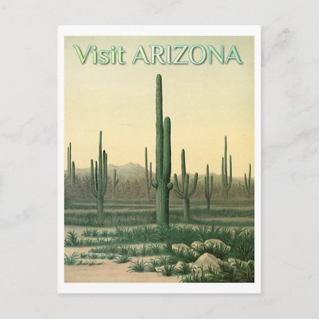 Vintage Arizona Wüstenreise Postkarte (Vorderseite)