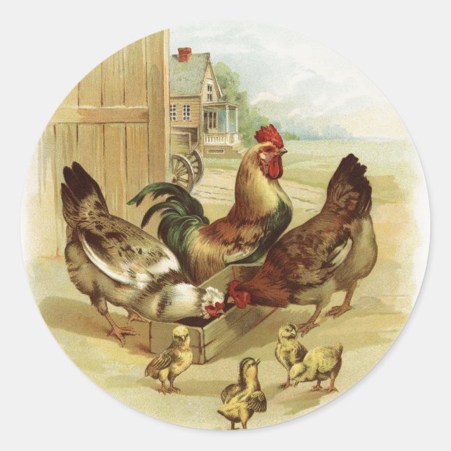 Vintage Art Farm Hühner Runder Aufkleber (Vorderseite)