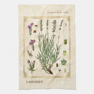 Vintage Art Herbal Lavender Blume Botanisch Geschirrtuch