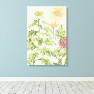 Vintage Art Nouveau, Chrysanthemen in einem Garten Leinwanddruck